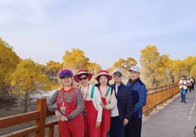 胡杨林酒泉最佳观赏时间（酒泉胡杨林景区开放时间）