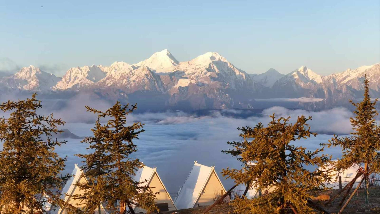 微信图片_20241102102023