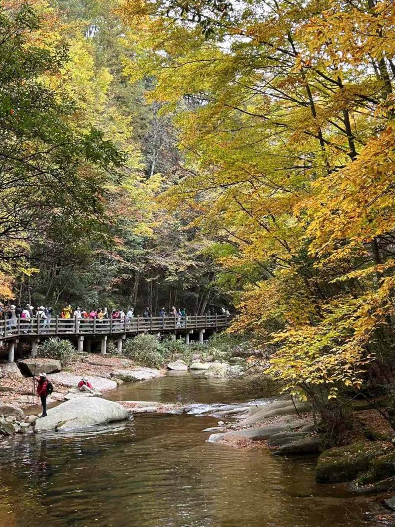 微信图片_20241104090445