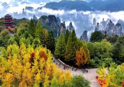 张家界适合啥时候玩（张家界适合什么时候旅游）