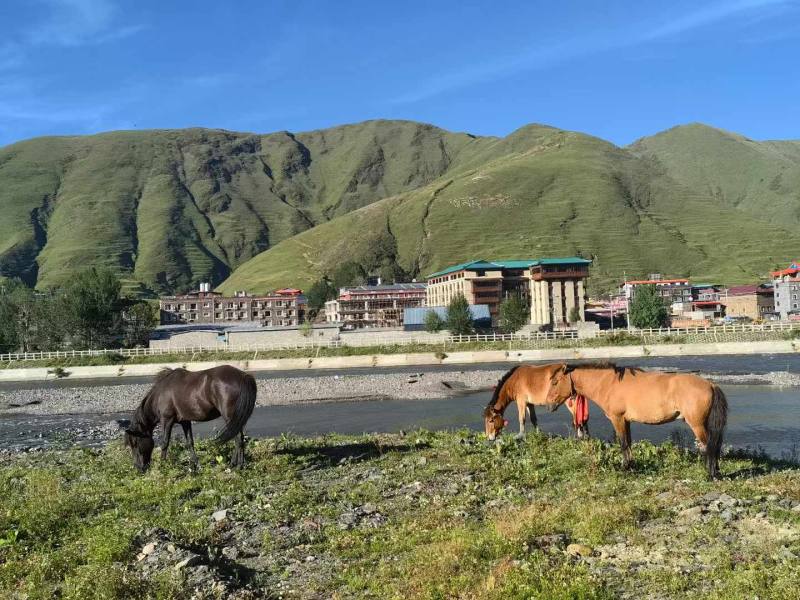 微信图片_20241116110703