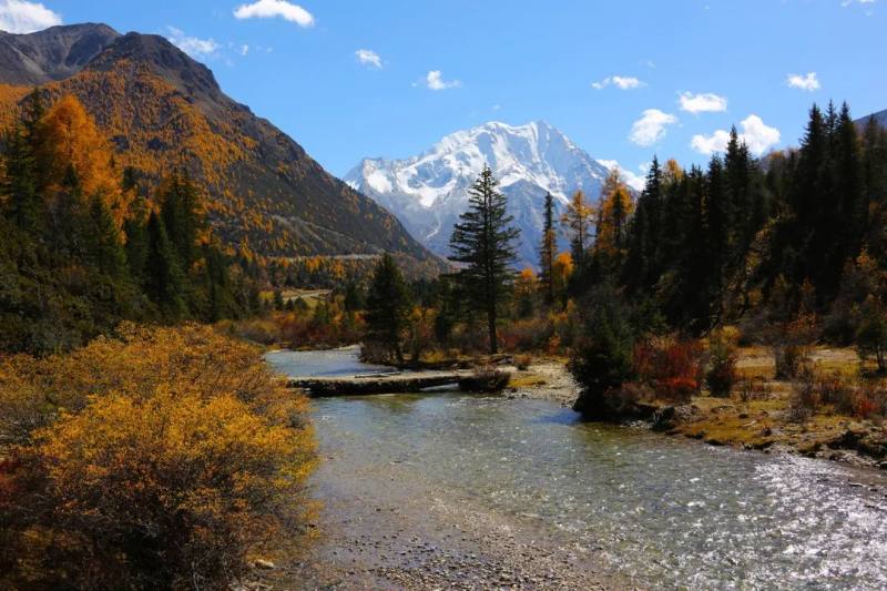 微信图片_20241120095926