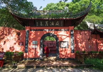 成都去乐山大佛峨眉山一日游包团价格、峨眉山包车多少钱一天