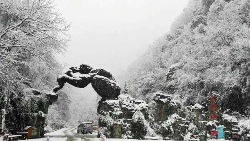 微信图片_20241122091953