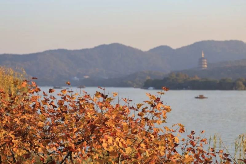 微信图片_20241126093717