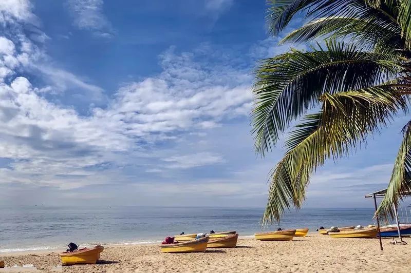 微信图片_20241129092938