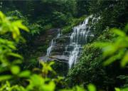 雅安二日游必去景点（雅安二日游最佳景点）