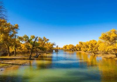 成都到额济纳旗旅游跟团多少钱（成都去额济纳旗看胡杨林旅游报价）