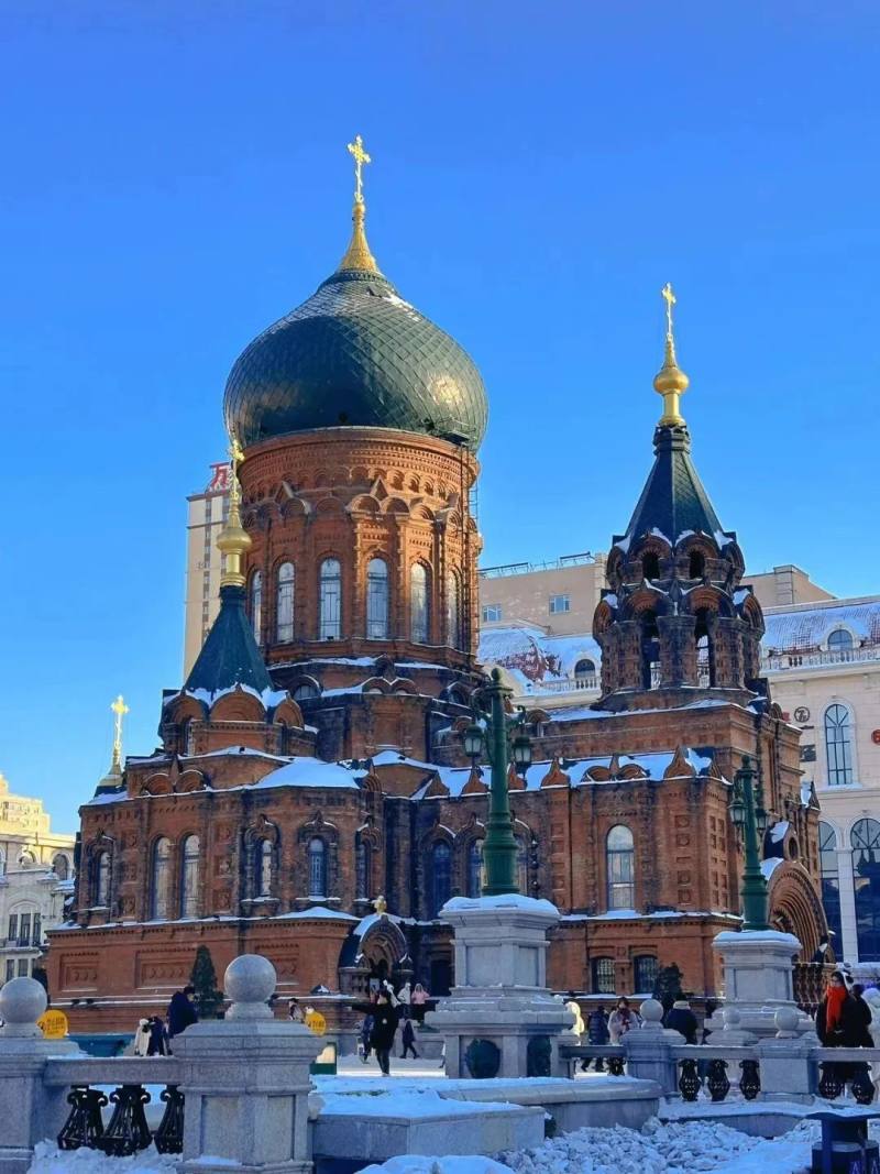 微信图片_20241207100605