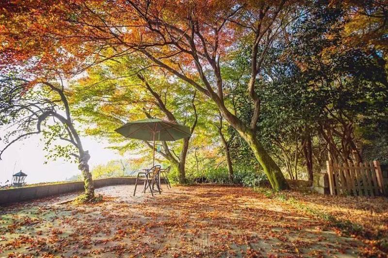 微信图片_20241210100509