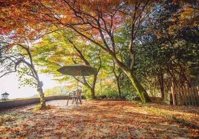 上海周边旅游必去景点推荐、上海周边景点有哪些好玩的地方