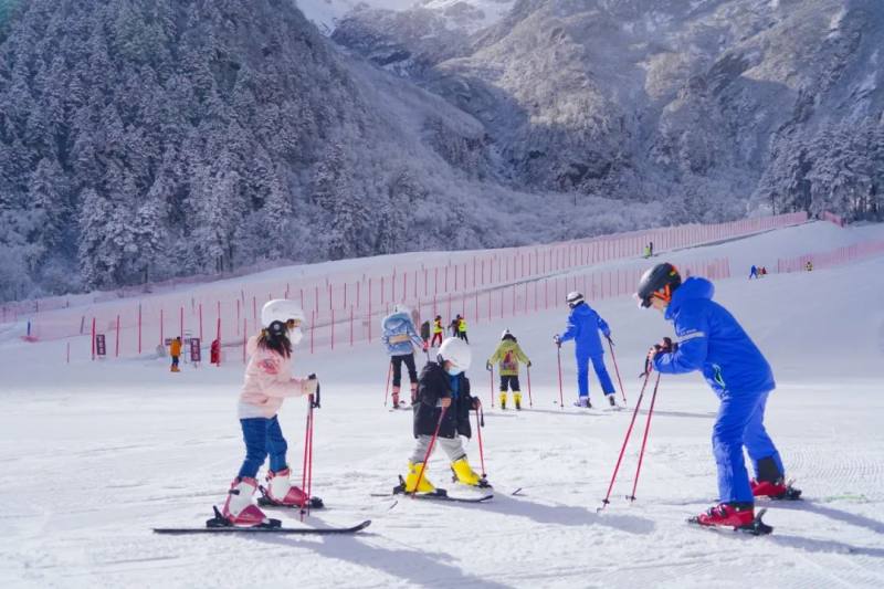 012ca55820c941e88e2a7ad054707d40~tplv-tt-origin-web_gif