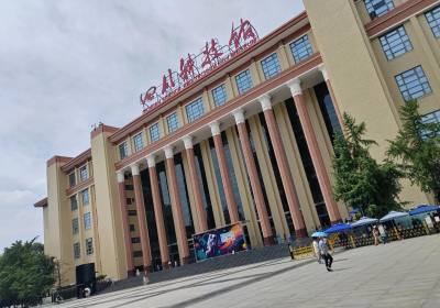 成都四日游攻略详细安排（成都自由行4天最佳路线）