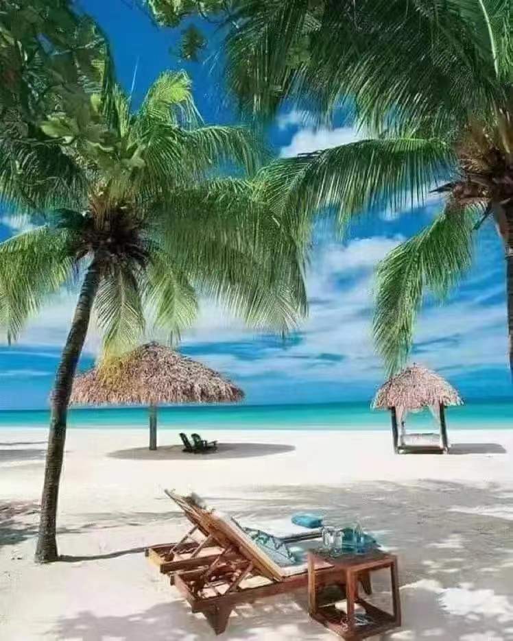 微信图片_20250103093109