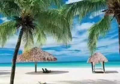 去斐济旅游一周一般费用多少（斐济旅游价格5天4晚报价）