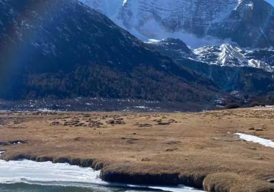 成都包车到稻城亚丁多少钱（成都包车到稻城亚丁来回费用是多少）