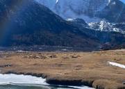 成都包车到稻城亚丁多少钱（成都包车到稻城亚丁来回费用是多少）