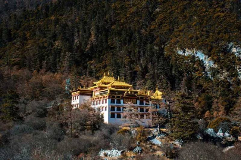 微信图片_20250204151624