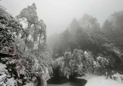 雅安高铁站到龙苍沟怎样坐车（雅安有到龙长沟班车吗）