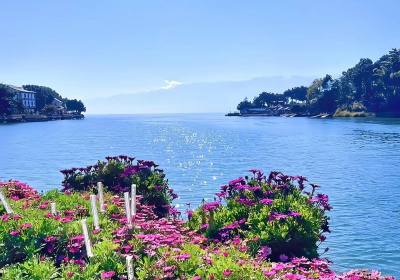 成都旅行社到云南旅游组团（成都到云南旅游团一般多少钱）