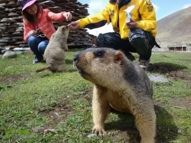 微信图片_20250211135036