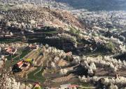 川西大环线7天旅游攻略（跟团去川西来回9日多少钱）