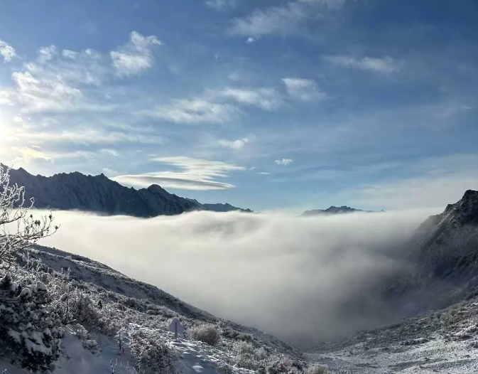 微信图片_20250216095003