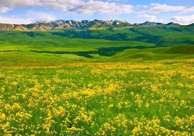 新疆包车游半个月大概要多少钱（新疆自由行攻略最佳路线和交通）