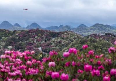 武汉旅游攻略1日游推荐（武汉游玩攻略一日游路线图）