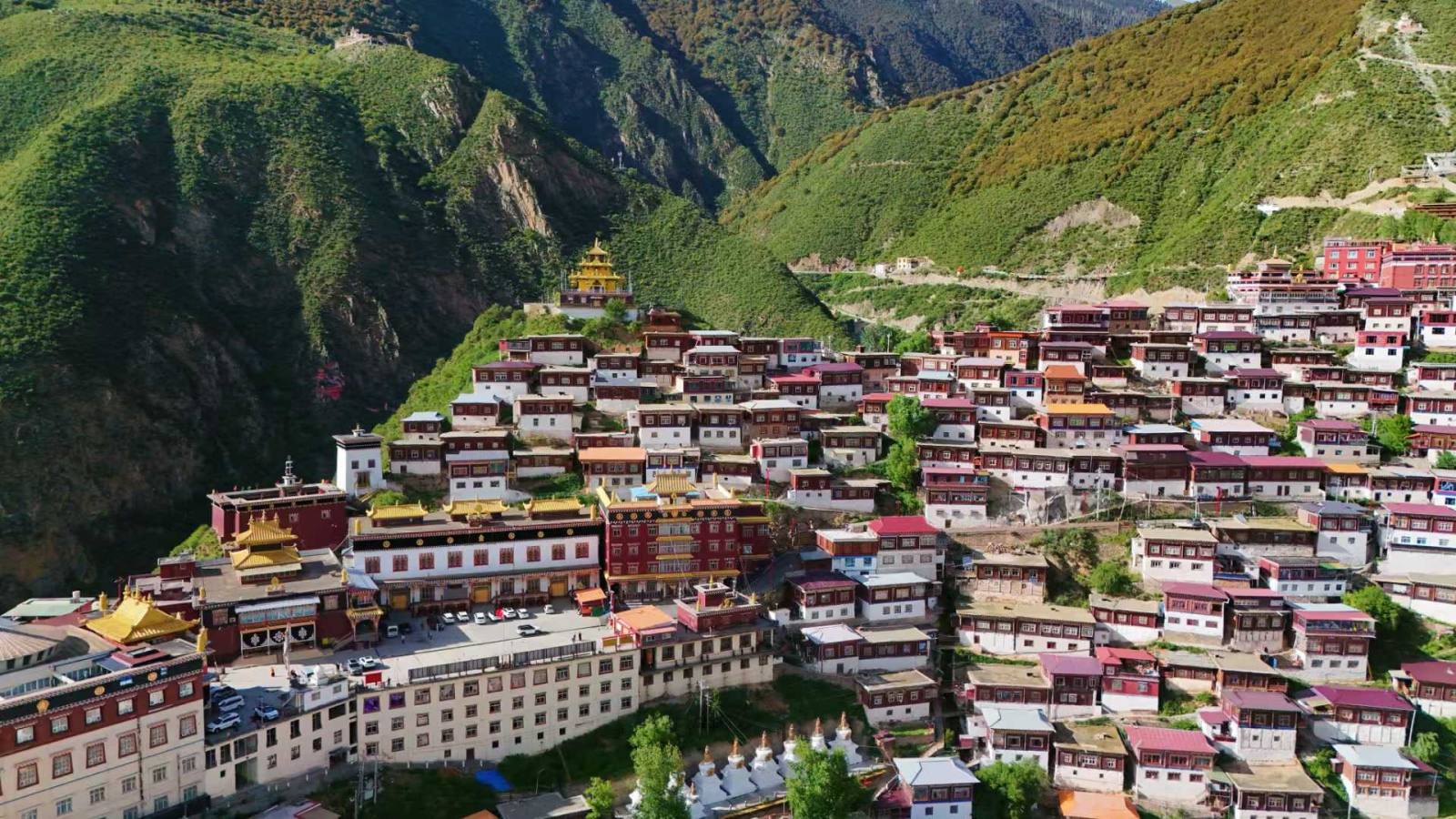 微信图片_20250627131110