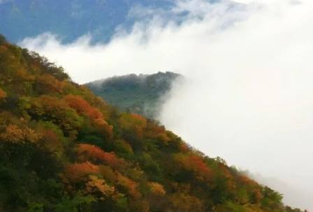 【峨乐二进】成都到峨眉山金顶+半山万年寺+乐山大佛汽车真纯玩二日游、峨眉山二日游报团多少钱