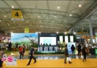 国际茶博会5月成都开幕 十大名茶你爱哪款