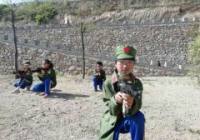 研学旅行市场悄然生长，应注重教育文化